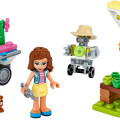 41425 LEGO  Friends Цветочный сад Оливии